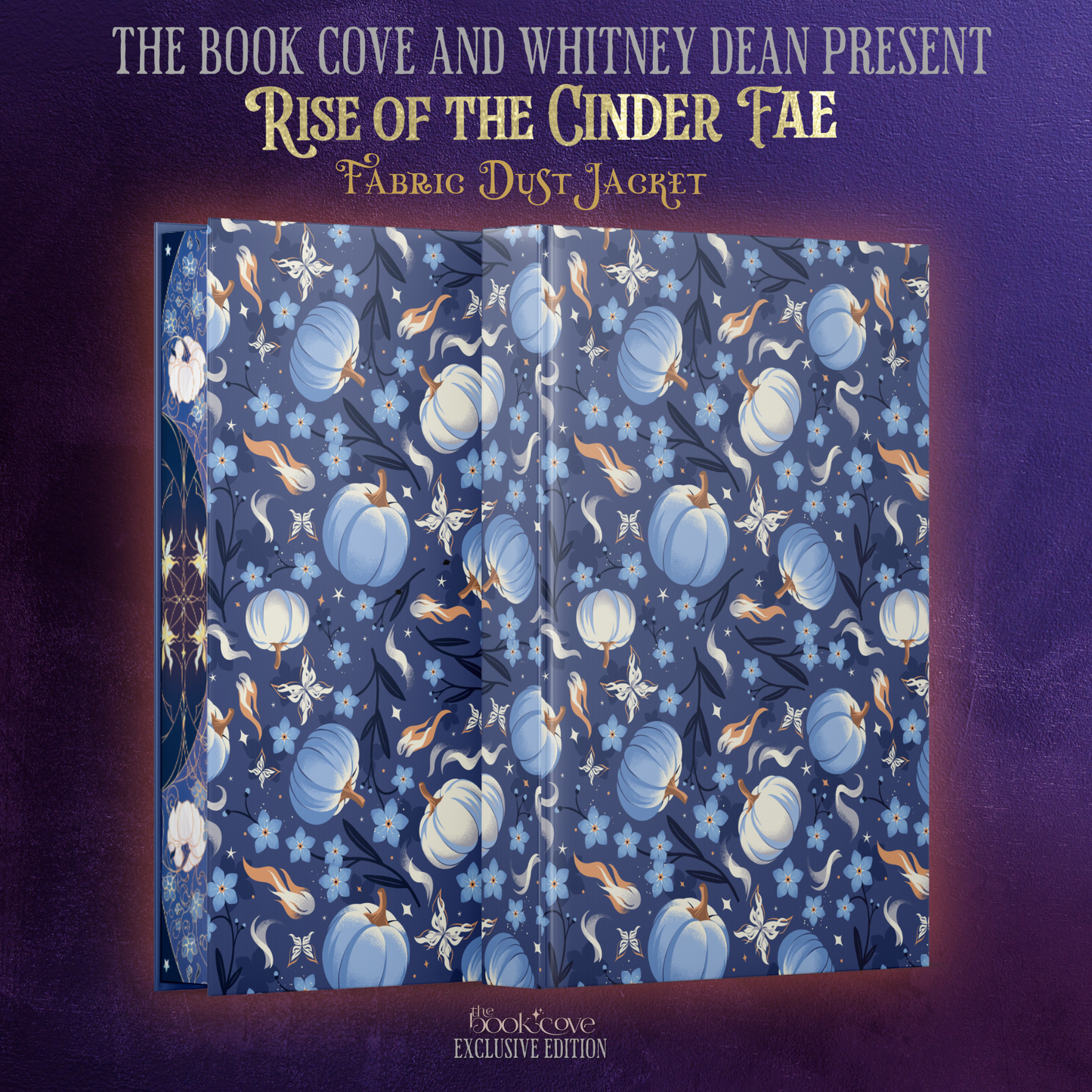 Rise Of The Cinder Fae