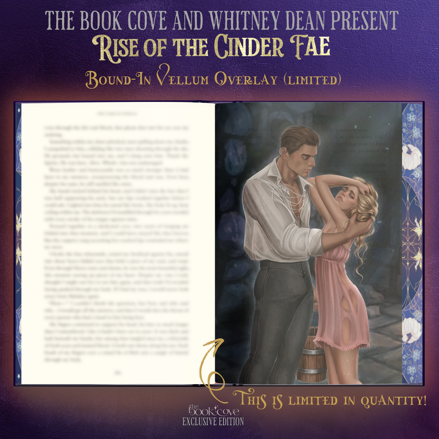 Rise Of The Cinder Fae